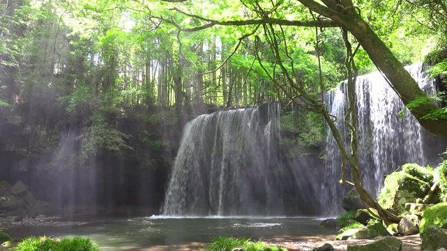 鍋ヶ滝　木漏れ日と光芒