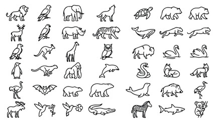Minimalist wild animal line icons, set of 42 black outline zoo and safari animal vectors, modern wildlife silhouette symbols for branding © Saad
