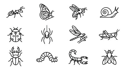 Minimalist insect line icons set, 12 garden bug vector illustrations, black outline butterfly and bee symbols for nature education and web design © Saad