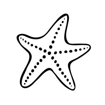 Black line sketch drawing of starfish isolated on a white background. Hand-drawn vector clip art for logo, print, tattoo, ocean-themed designs. Minimalist sea life illustration.