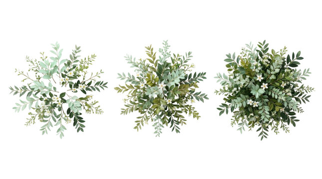 Three top view green plant compositions with small white flowers isolated on transparent background.