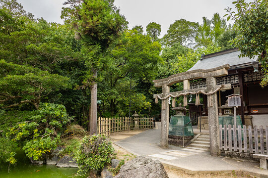 Traditional Japanese garden with wooden house surrounded by trees in serene imperial setting, Kyoto, Japan 