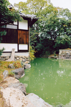 Garden design with natural balance and calm reflective surface in cultural environment, Kyoto, Japan 