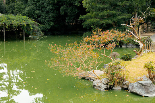 Traditional rock garden with pond and trees near palace structure in calm natural setting, Kyoto, Japan 