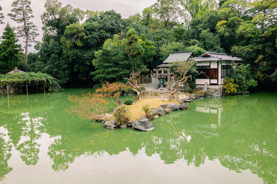 Traditional rock garden with pond and trees near palace structure in calm natural setting, Kyoto, Japan 