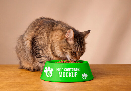 Tabby cat eating dry food from white bowl