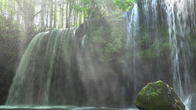 鍋ヶ滝の木漏れ日と光芒