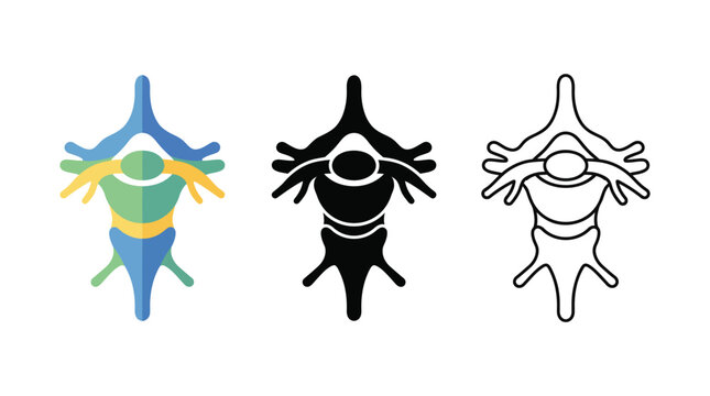 Vertebra spine bone anatomy icon set featuring flat black and thin line vector graphics.