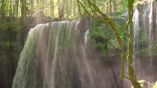 鍋ヶ滝の木漏れ日と光芒