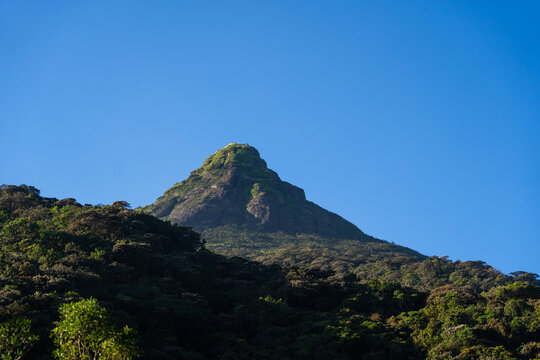 View of the iconic conical summit of Adam's Peak rising above lush green mountain slopes under a clear blue sky in Ratnapura, Sabaragamuwa Province, Sri Lanka.