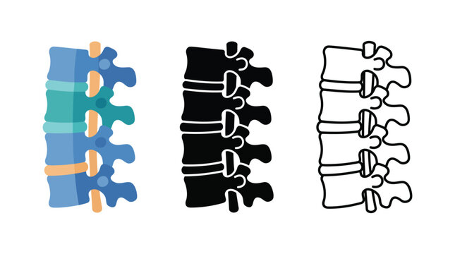 Spine vertebrae icons medical anatomy human body organ illustration set.