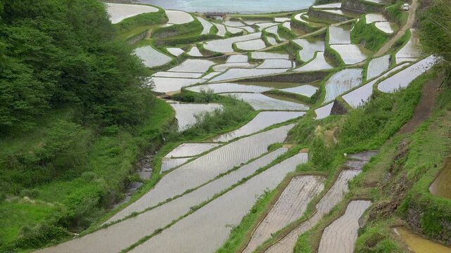 佐賀県　玄海町　浜野浦の棚田