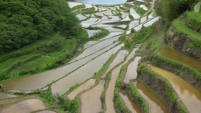 佐賀県　玄海町　浜野浦の棚田