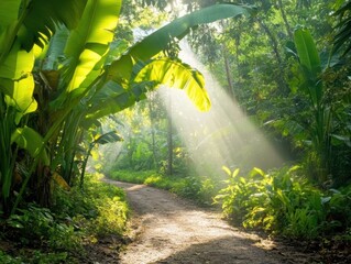 A serene forest path illuminated by sunlight. © Nucharee