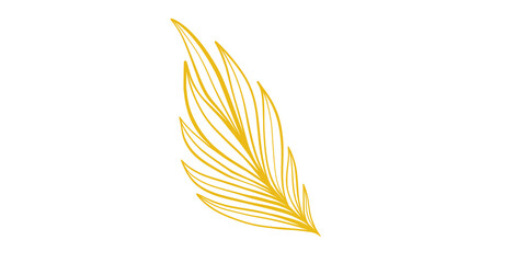 Golden Feather Illustration on White Background © Muhammad