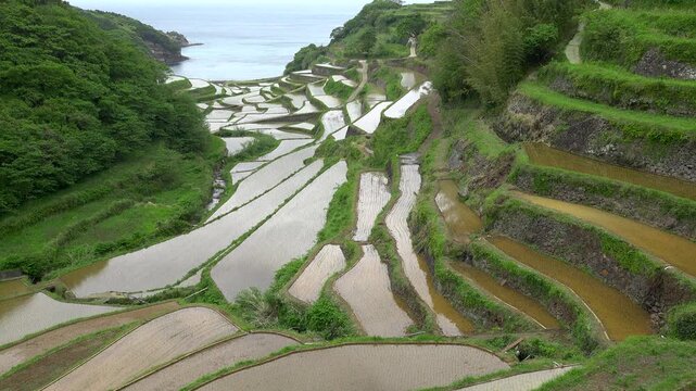 佐賀県 玄海町 浜野浦の棚田　