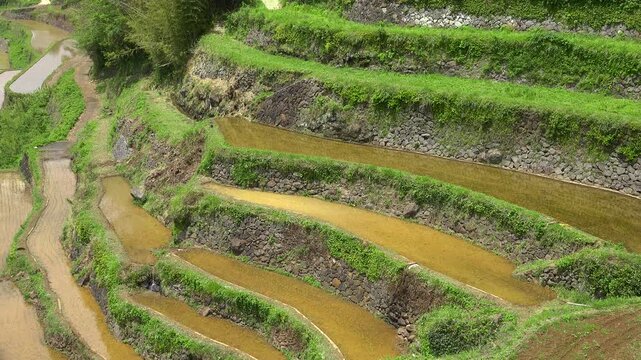 佐賀県 玄海町 浜野浦の棚田　