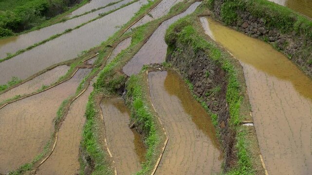 佐賀県 玄海町 浜野浦の棚田　