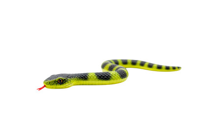 Fototapeta premium A green snake with black spots on its body slithers forward on a transparent background