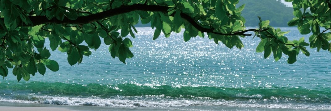 Lush green tree branches overhang a sparkling turquoise ocean with gentle waves
