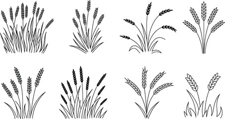 Cartoon wheat plant icons with stalk and grain variations representing agriculture and botanical vector illustration © Creative Stoker