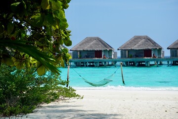 Fototapeta premium Tropical Beach Framed by Green Leaves with Hammock and Overwater Bungalows in Maldives