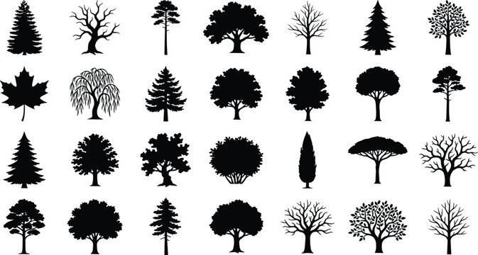 Tree silhouettes in varied shapes including conifer, deciduous, and leafless forms for nature, landscape, and design projects