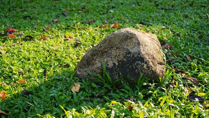 Mossy boulder rock on green grass field with soft shadows © Liada