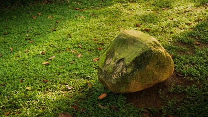 Mossy boulder rock on green grass field with soft shadows © Liada