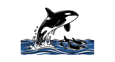 Illustration of a pod of killer whales jumping out of the ocean water. © Rohimimon