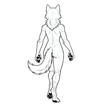 Black ink line art of female timber wolf furry body base, walking back view.
