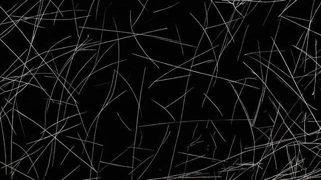 Abstract white lines on black background animation. Chaotic movement, digital art, modern design