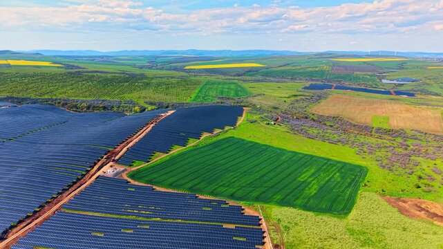 Industrial solar farm integrated beside green agricultural crop field. Aerial perspective of large solar arrays flanking a bright green rectangular cultivated field.