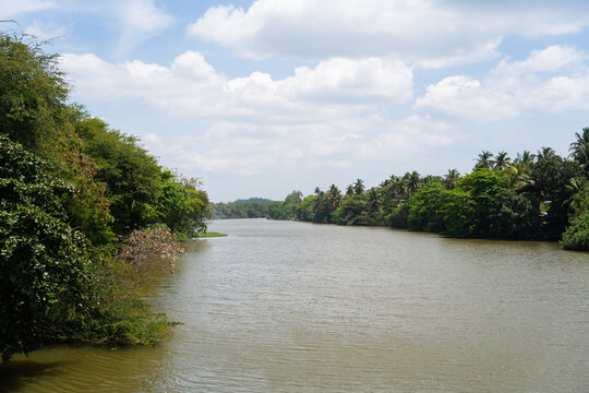 View of the Nilwala River flowing through lush tropical vegetation and palm trees under a cloudy sky in Matara, Southern Province, Sri Lanka.
