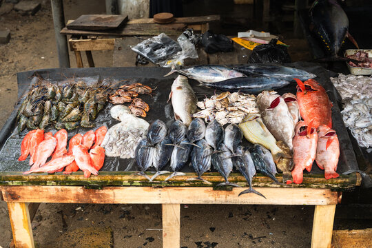 View of fresh seafood including tuna, red snapper, and prawns displayed on a wooden table at a local market in Galle, Southern Province, Sri Lanka.