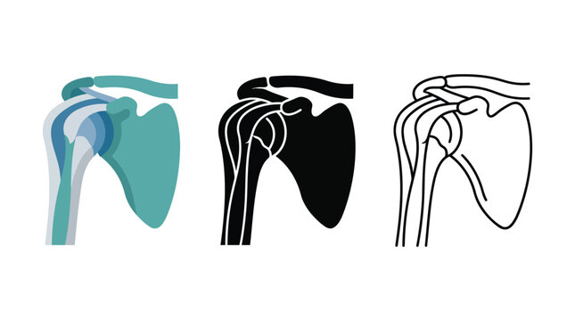 Shoulder joint anatomy icons displaying human bone structure and rotator cuff medical vector.