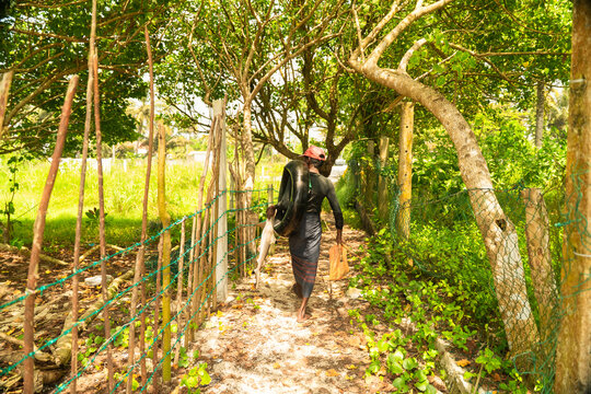 View of a local fisherman walking along a shaded path carrying a shark and an inner tube through lush tropical vegetation in Galle, Southern Province, Sri Lanka.
