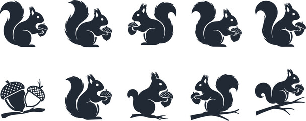 Squirrel Silhouette Vector Icon Set with Cute Forest Animal Holding Acorn Nut on Tree Branch Designs © Md shain