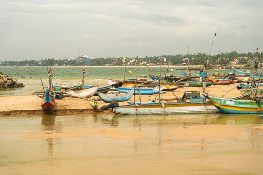 View of traditional colorful fishing boats and outriggers resting on the sandy shore with a palm-fringed coastline under an overcast sky Dodanduwa, Southern Province, Sri Lanka.