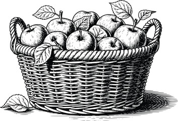 Fototapeta premium Black and White Basket of Apples Vector Illustration