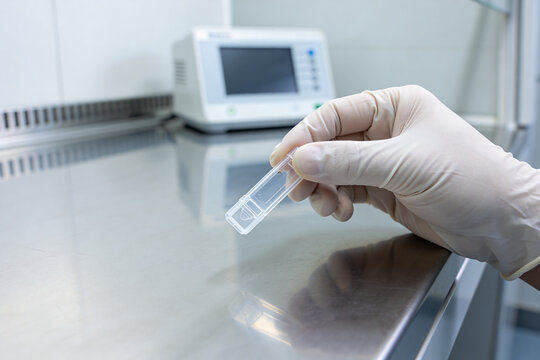 Scientist in sterile gloves holds a small transparent sample container in a laboratory