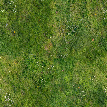 Seamless Ground Texture with Green Grass, Moss and Small Pebbles