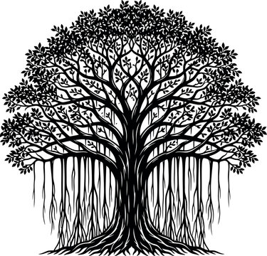 Minimalist banyan tree silhouette with roots nature vector