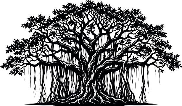 Detailed banyan tree with roots line art vector illustration