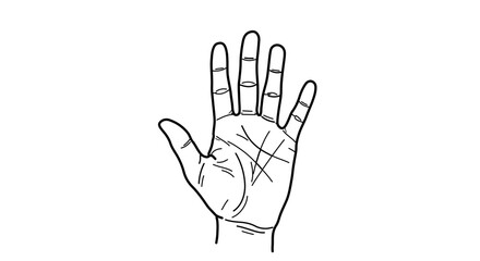 Fototapeta premium Palmistry hand drawing with lines on palm