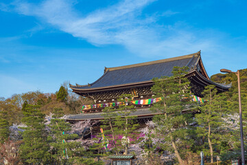 Fototapeta premium 国宝知恩院三門の春景色