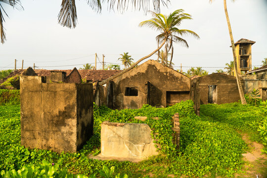 View of abandoned ruins overgrown with lush green vegetation and palm trees under a bright sky in Galle, Southern Province, Sri Lanka.