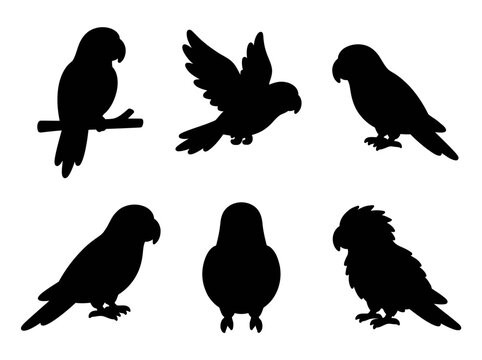 Parrot Silhouettes Bird Icons