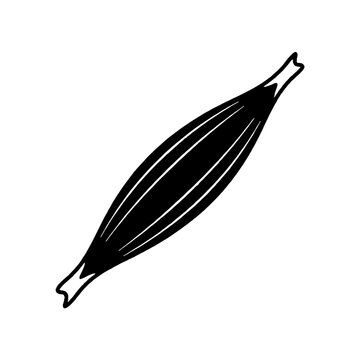 Human skeletal muscle fiber vector illustration showing a single fusiform muscle belly with connective tissue tendons at both ends on white background