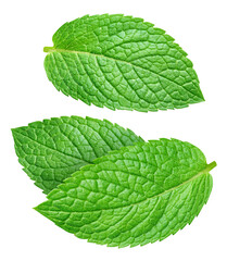 Ripe mint leaves collection isolated on transparent background. Green mint leaves set isolated is raw. Mint leaves collection isolated PNG © URSA Star